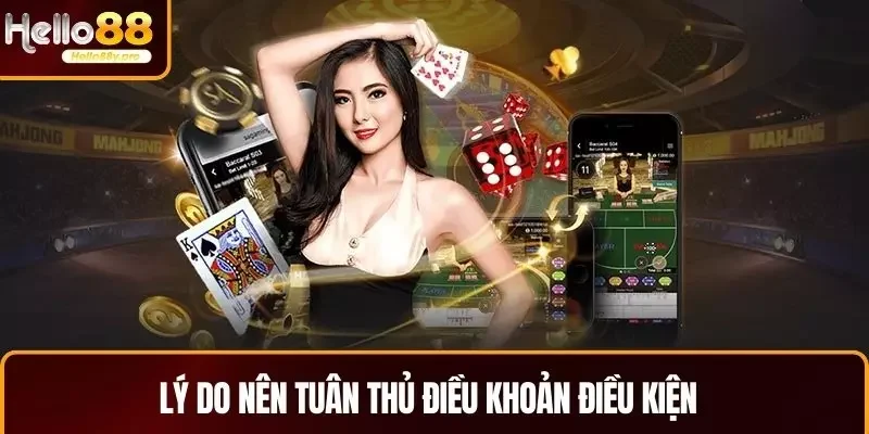Lý do nên tuân thủ điều khoản điều kiện 